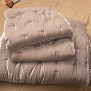 West Elm Soft Silver Comforter With 2 Euro Pillow Shamd